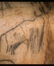 Grotte du Pech Merle image 1