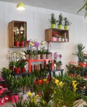 SARL Floréal image 6