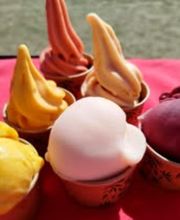 Maxifruit - Sorbets fermiers image 2