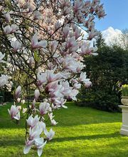 Der Garten des Boutique Hotel Rosengarten Hamburg