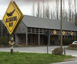 Alligator Bay image 2