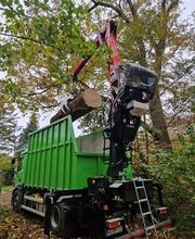 Baum-plus GmbH Bild 5