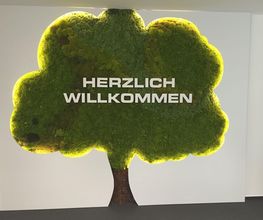 Franzen Moos Wanddesign Bild 13