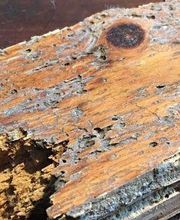 Garbi Aragón imagen 10