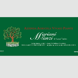 Azienda Agricola Vivaio Piante Mariani-Lanzi logo