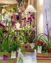 Au Parfum des Fleurs image 14