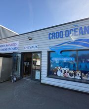 Croq Ocean image 1