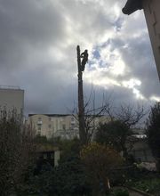 Wintrestin image 4