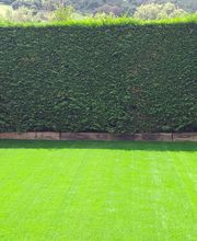 SELLACESPED imagen 8