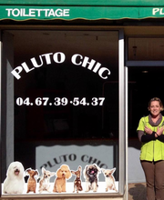 Pluto Chic image 5