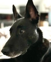 Defensive Tactics Academy e. K. Bild 5