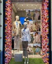 Falconeri immagine 1