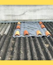 Tollet David image 5