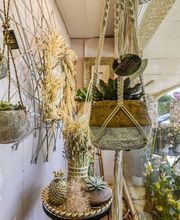 Flore Maître Artisan Fleuriste image 11