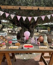 Finca Luz del Flumen imagen 8