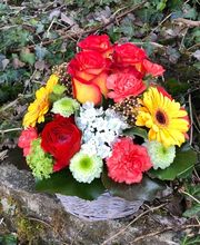 Blumen P. Gätzi Bild 5