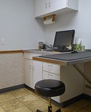 The Village Veterinarian image 6