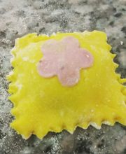 Gallery Professionale