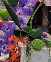 La Boite A Fleurs image 18