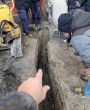 Aaman Co image 9