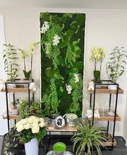 Maison Segard image 2