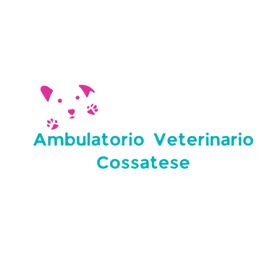 Ambulatorio Veterinario Cossatese logo