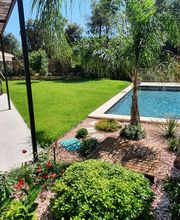 L'ecrin Vert image 6