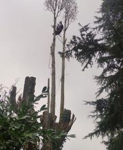 Jardin -Sy image 1