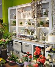 Blatt & Blüte | natürlich kreativ Bild 6