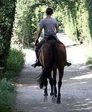 Fumey Frédéric image 1