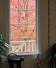 Windows On Washington image 4