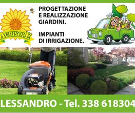 Gallery Cliente