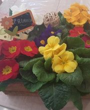 Le Paradis Fleuri image 6