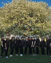 Plumlee Dentistry image 1