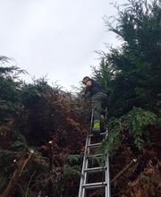 RS Elagages Services image 8