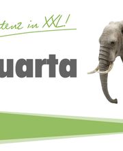 Quarta Reparatur & Service GmbH Bild 2