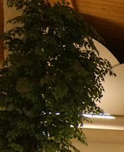 Gesundheitspark Bild 6