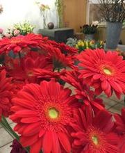 Blumen etc. Blumengeschäft Bild 5