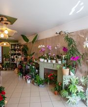 Les Fleurs de Cuers image 8