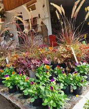 Garten Zeißlhof Bild 4