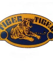 Tiger image 2