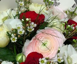 Floralia image 2
