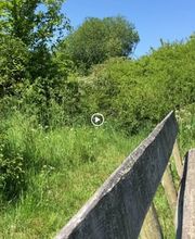 Reethaus Svantevit - Ferienhaus Bild 14