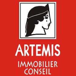 Artémis Immobilier Conseil