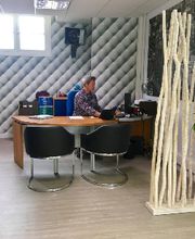 Gréaume François image 4