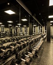 Fitness First Dresden Postplatz - Hantel Training