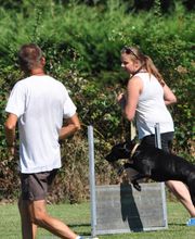 Centre d'Education Canine de Montauban 82 Association image 4