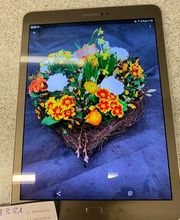 Blumen Petermann Bild 7