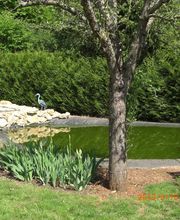 Laporte Bruno image 9