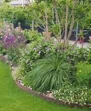 Luca Antonini Giardinieri Paesaggisti Bild 2